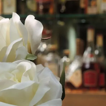 Hotel Western Im Forum Mülheim